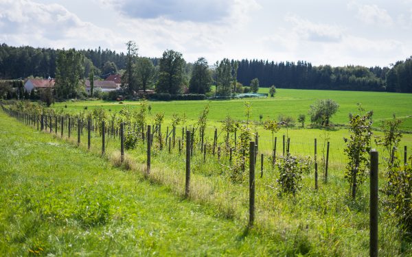 Obec Růžovou chrání opatření před povodněmi i větrnou erozí