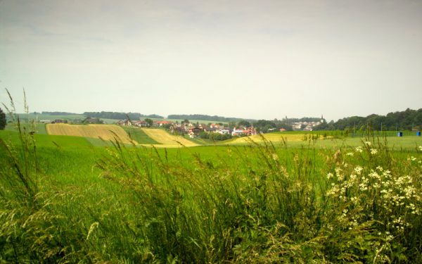 Vesnice na Hlučínsku bojuje s erozí. Pomoci mají pozemkové úpravy