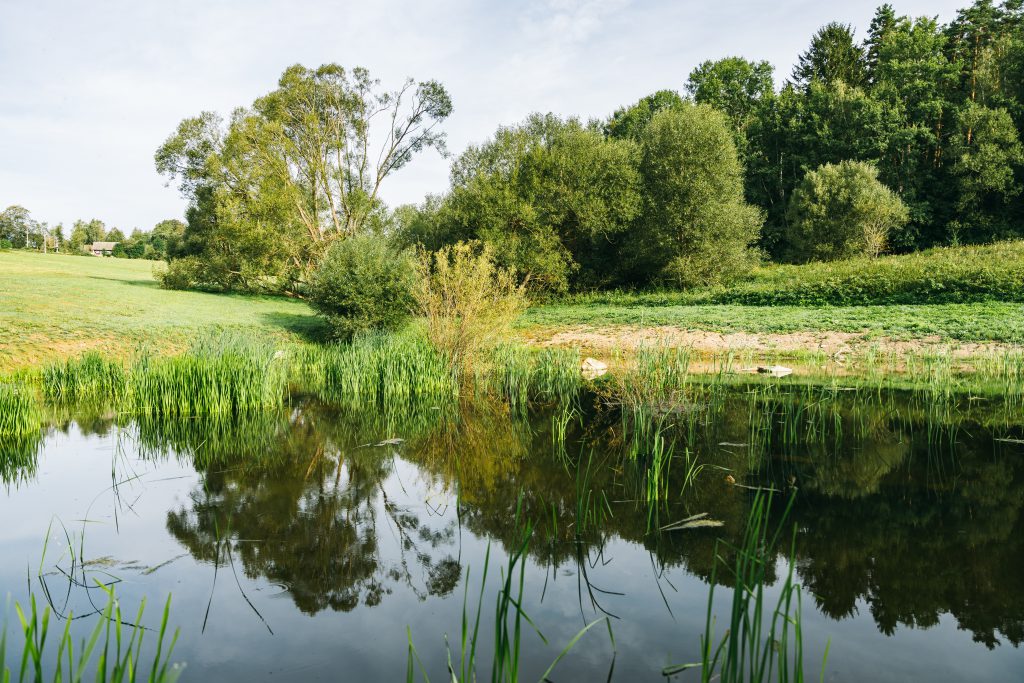 Bohdalovice u Větřní