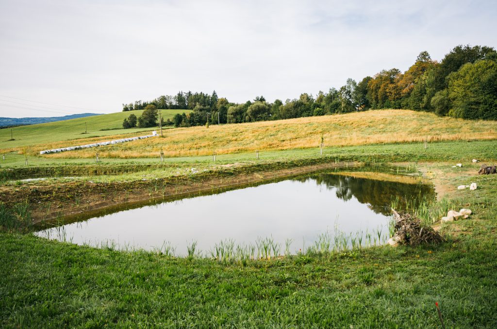 Bohdalovice u Větřní