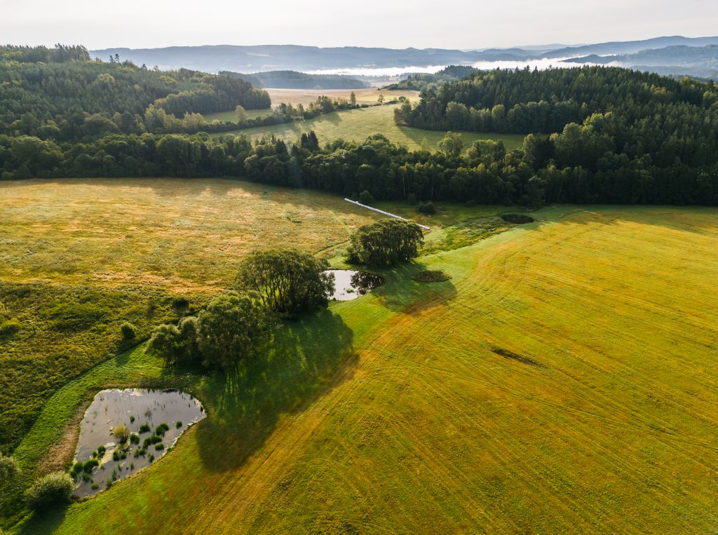 Bohdalovice u Větřní