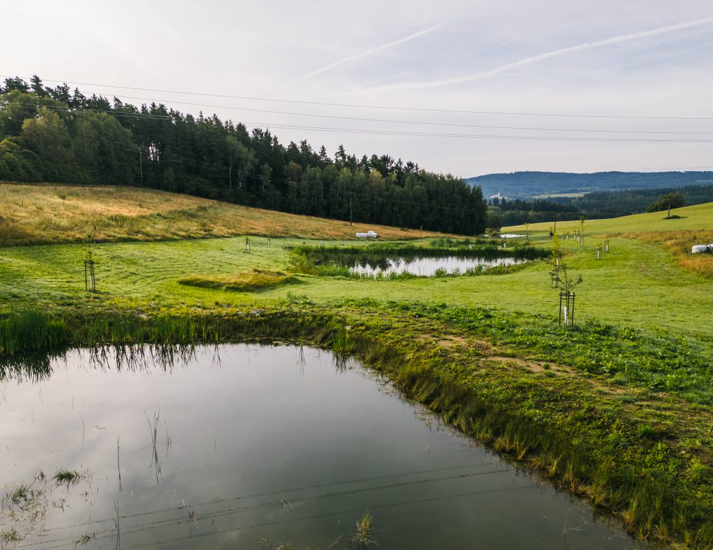 Bohdalovice u Větřní